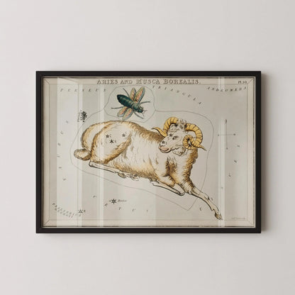 Personalizable Vintage Astrological Sign Print - Aries | Sidney Hall Art (available handframed or unframed)
