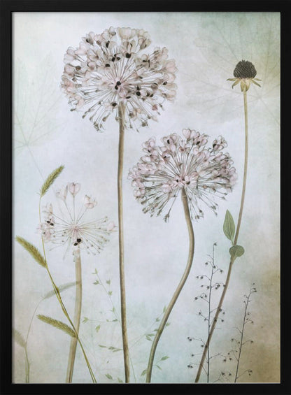 Wall Art Allium