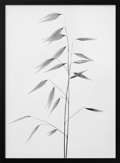 Décoration murale La netteté de la nature