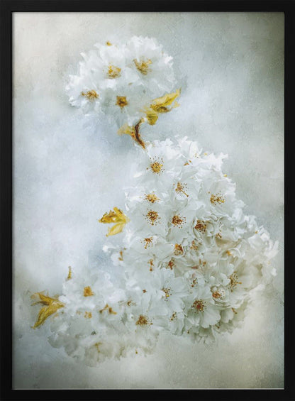 Wall Art Cherry blossoms