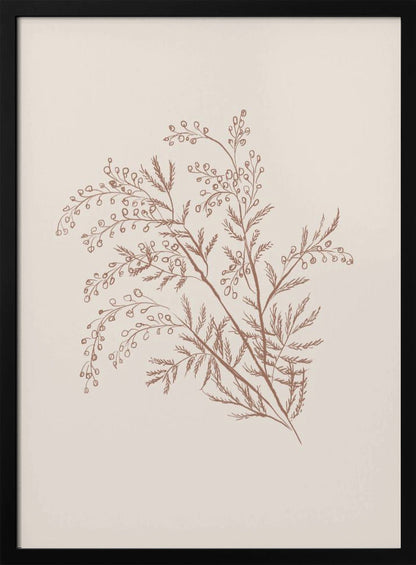 Décoration murale Branche botanique d'acacia