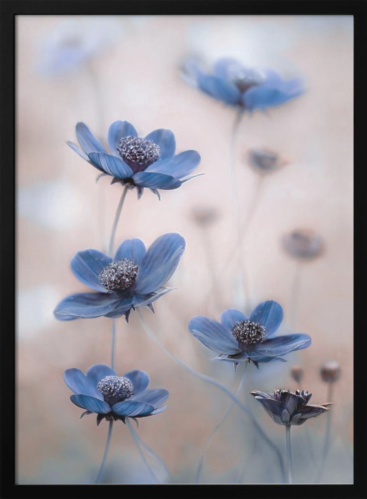 Wall Art Cosmos blue