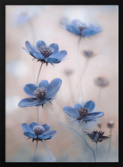 Wall Art Cosmos blue