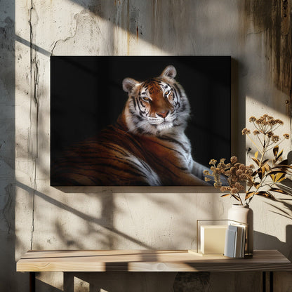 Resting Tiger Portrait on Black Canvas Wall Art | Serenity