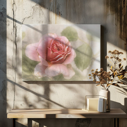 Wall Art smooth rose
