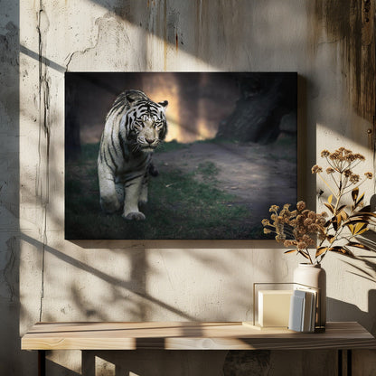White Tiger Walking through a Dark Landscape Canvas Wall Art | White walker