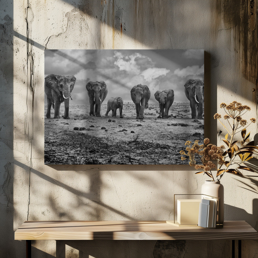 Wall art Big Family. Elephants