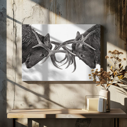 Wall art Eye to Eye - Elk fight