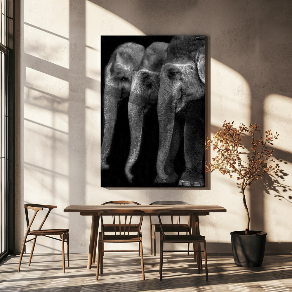 Wall art Nature\'s great masterpiece, an elephant; the only harmless great thing ...
