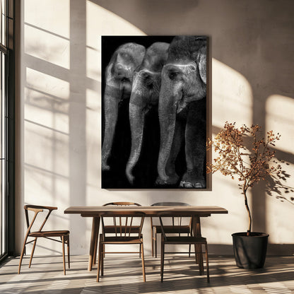Wall art Nature\'s great masterpiece, an elephant; the only harmless great thing ...