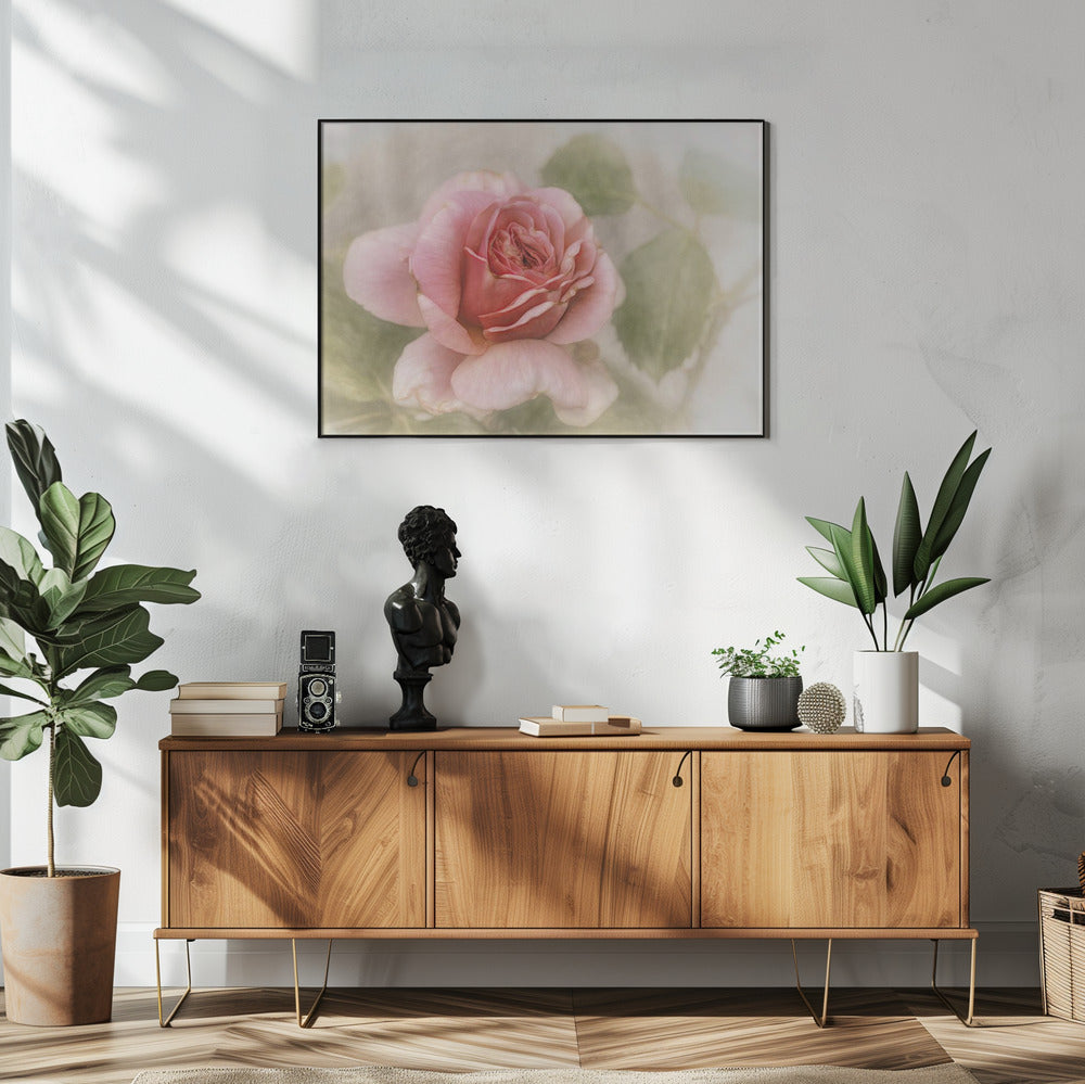 Wall Art smooth rose