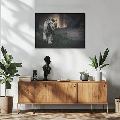 White Tiger Walking through a Dark Landscape Canvas Wall Art | White walker