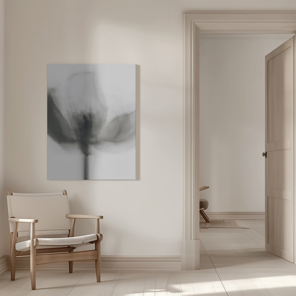 Wall art Mono Tulip
