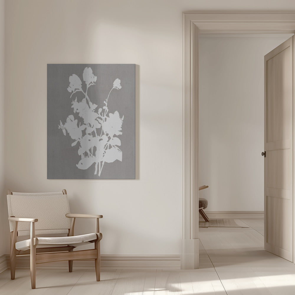 Wall art Botanical Illustration 3