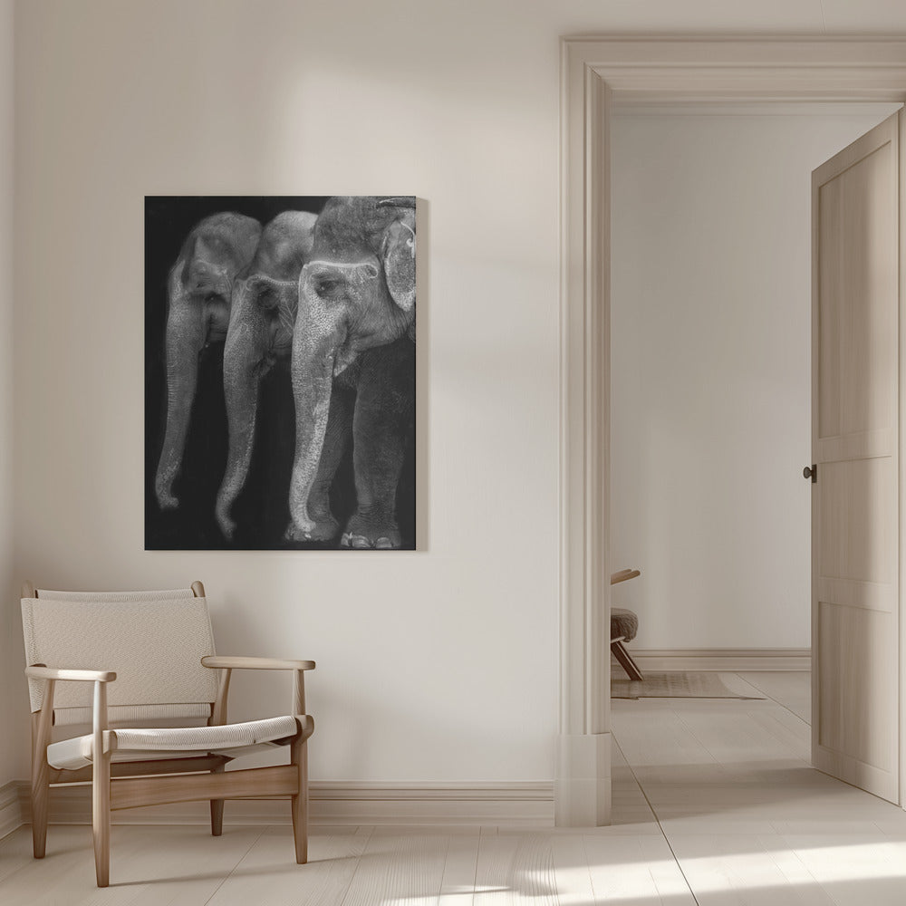 Wall art Nature\'s great masterpiece, an elephant; the only harmless great thing ...