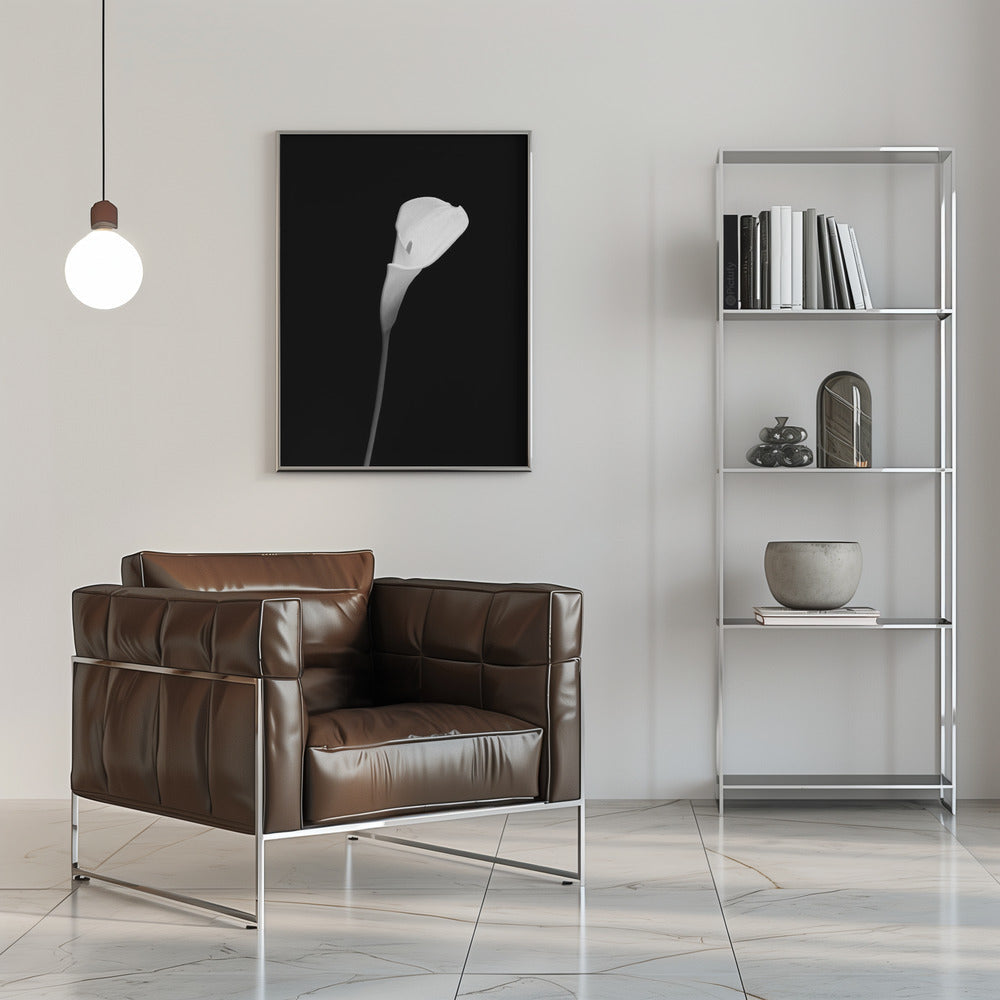 Wall art Calla | dark design