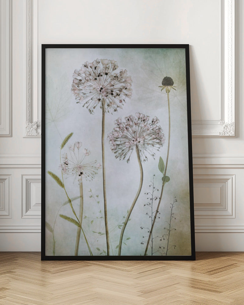 Wall Art Allium