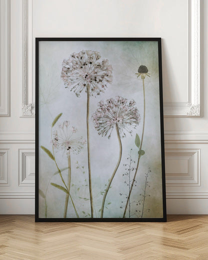 Wall Art Allium