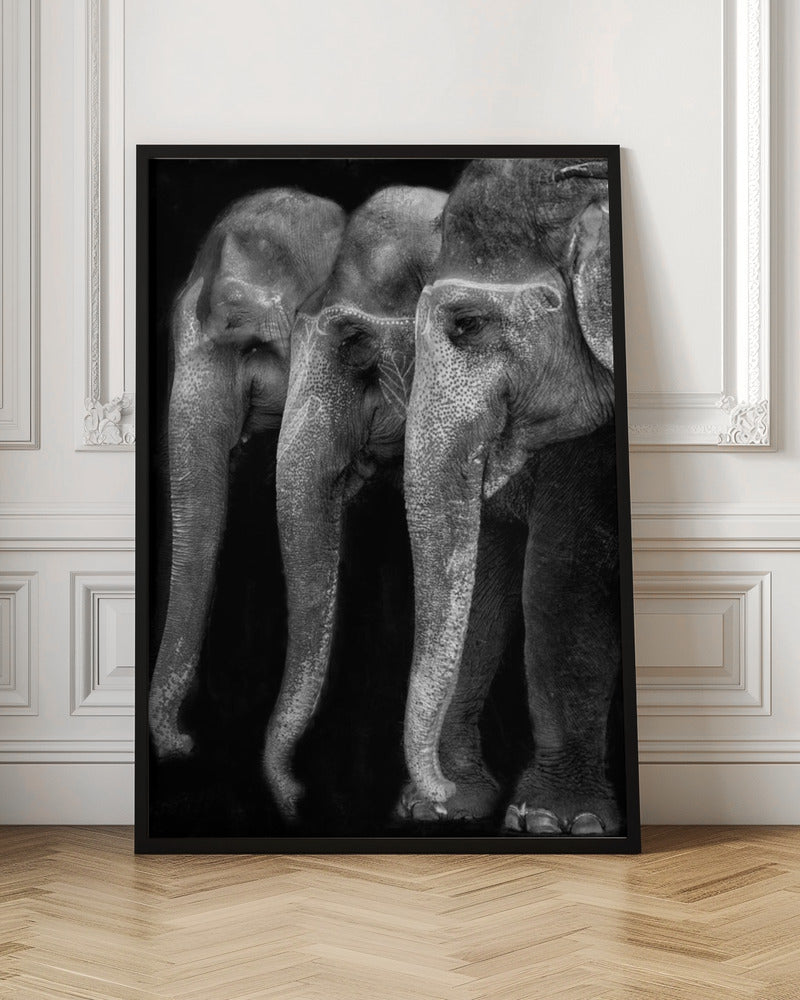 Wall art Nature\'s great masterpiece, an elephant; the only harmless great thing ...