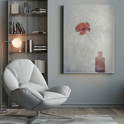 wall art Winter Poppy
