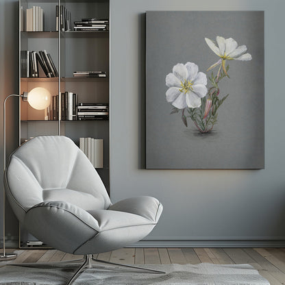 Wall Art Giant Helleborine (1880)
