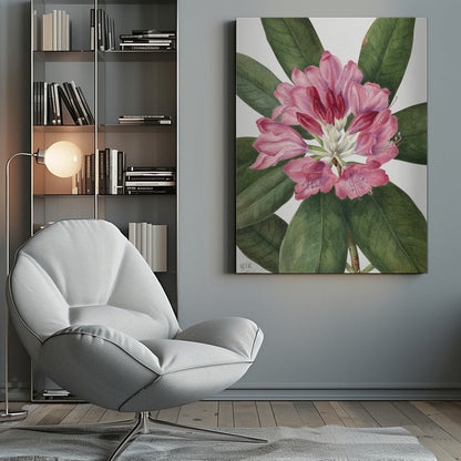 Wall Art Mountain Rose Bay (1932)
