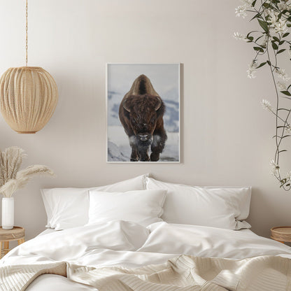 Wall Art Bison Incoming