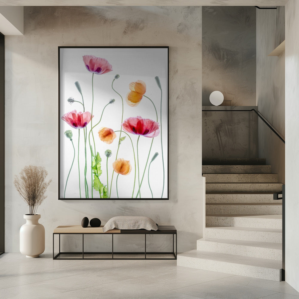 Wall art Poppies1
