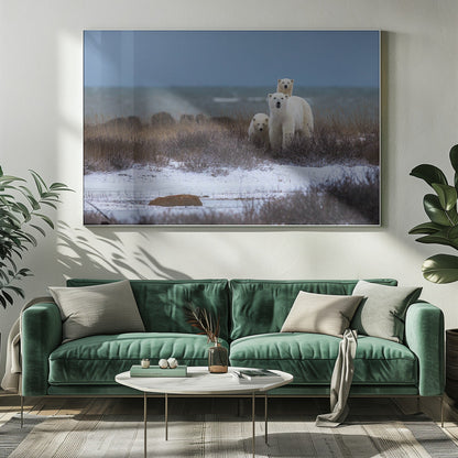 Wall art Mother bear with cubs, Hudson bay in the background