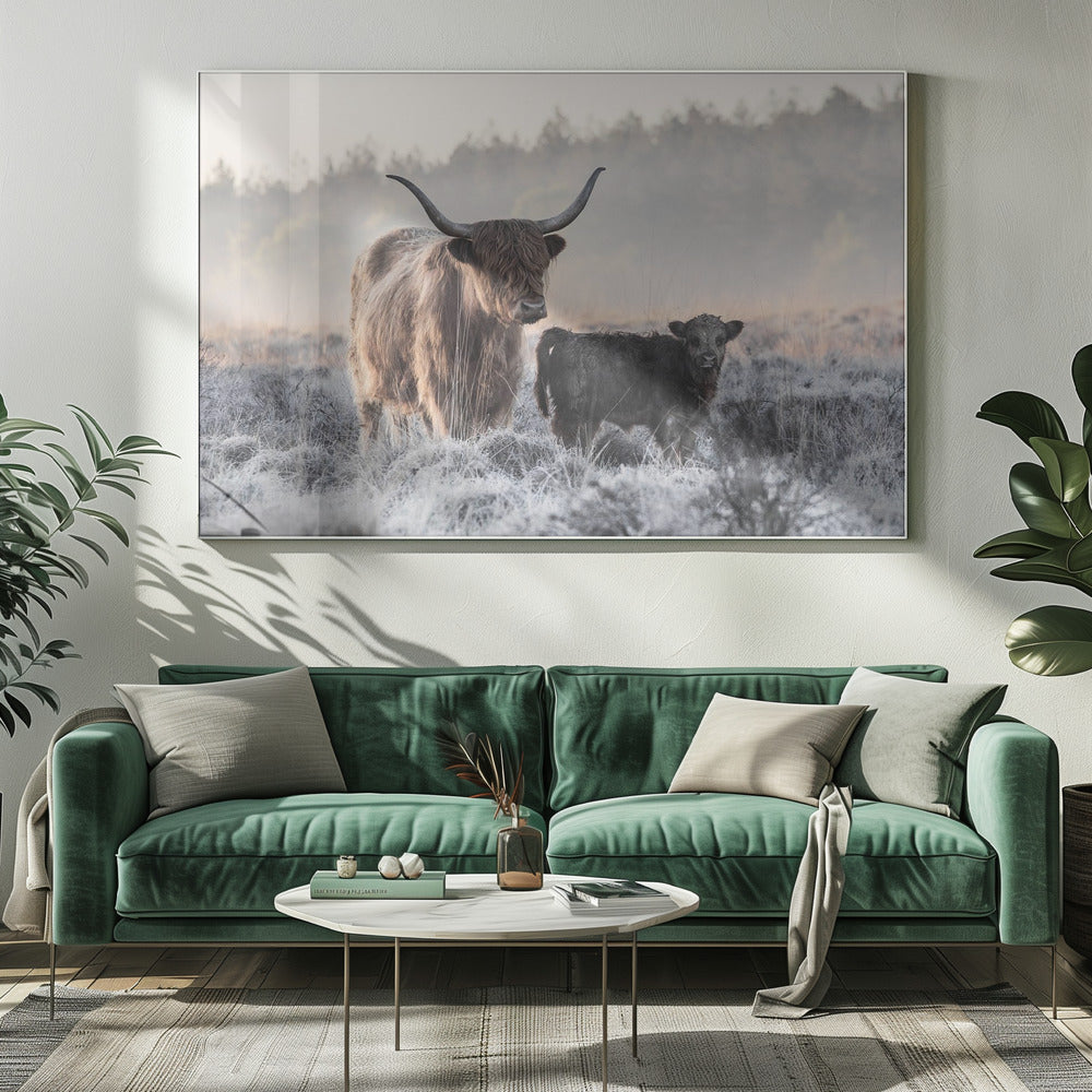 Wall art Highlander and Calf