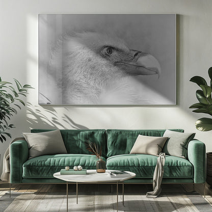 Wall art Bald eagle