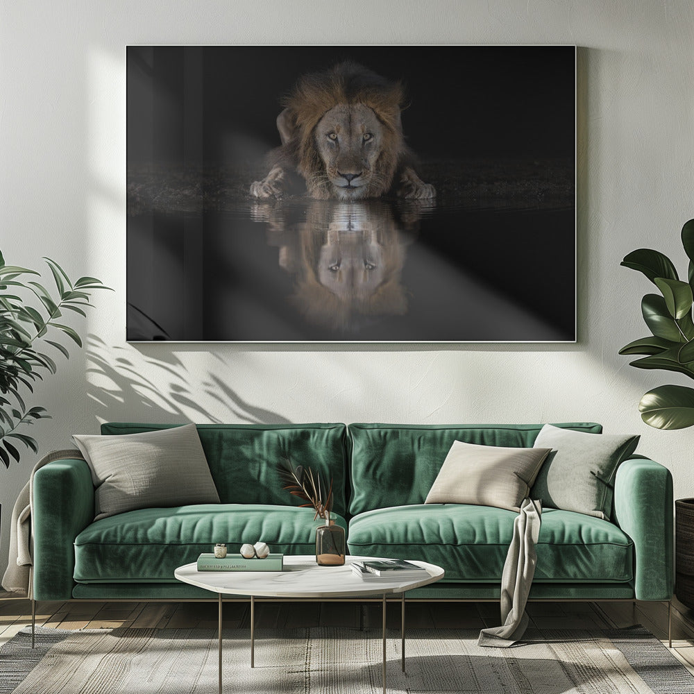 Lion Drinking with a Dark Water Reflection Canvas Wall Art | A Lion at The Night