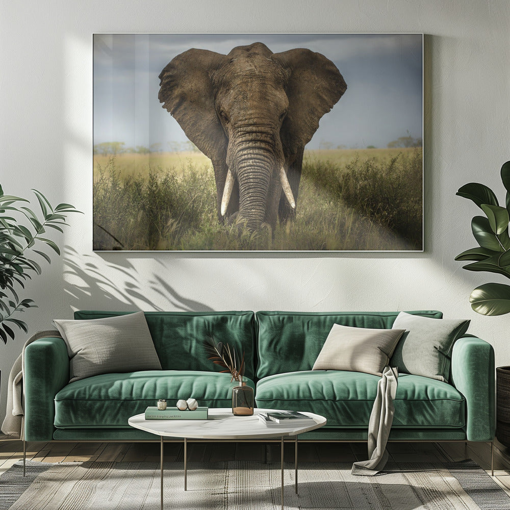 Wall art Encounters in Serengeti. Elephant