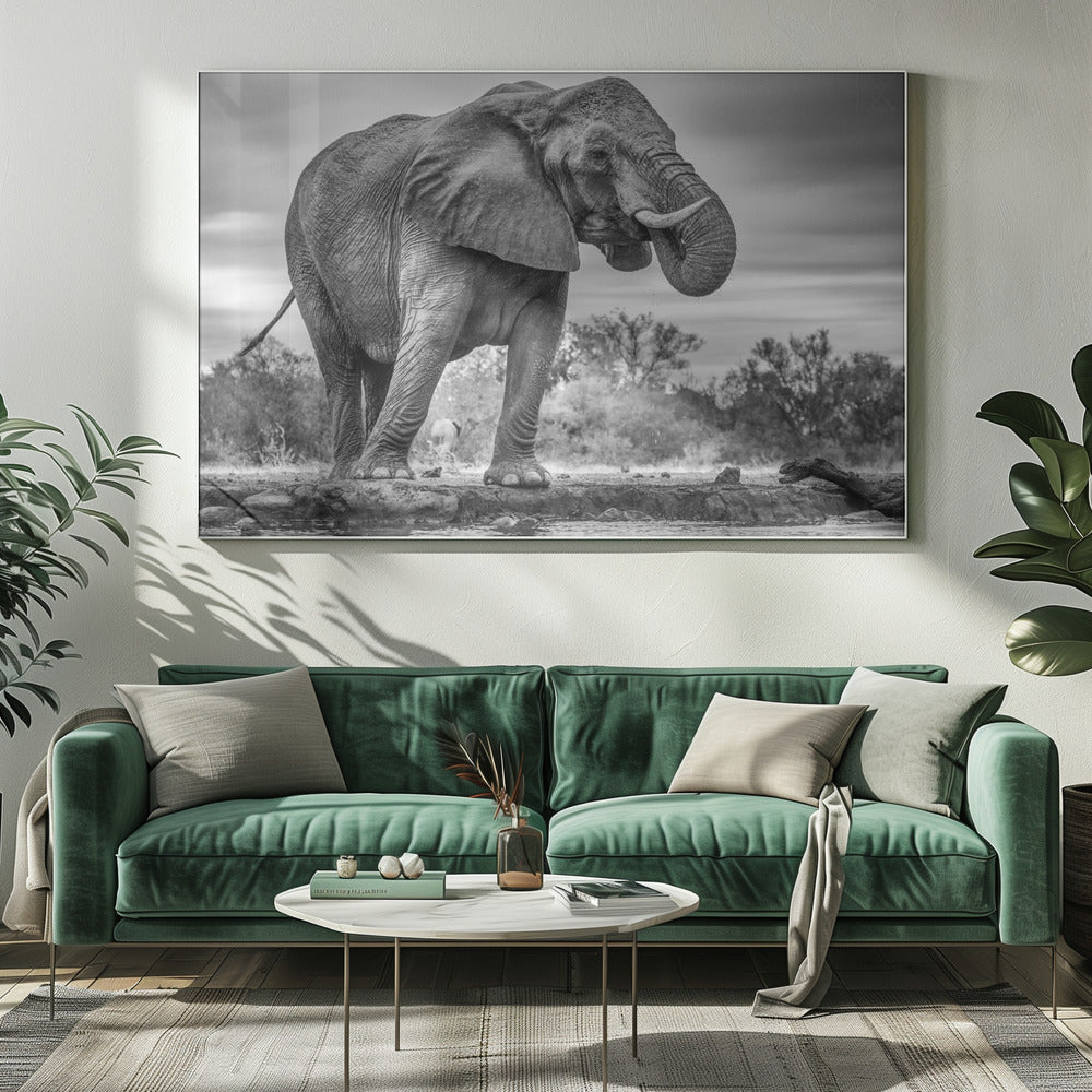 Wall art Standing Proud. Elephant