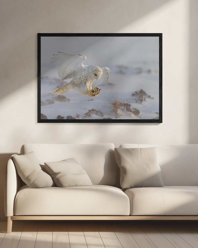 Wall art Landing