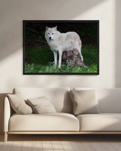 Wall art Arctic Wolves - Remus and Romulus