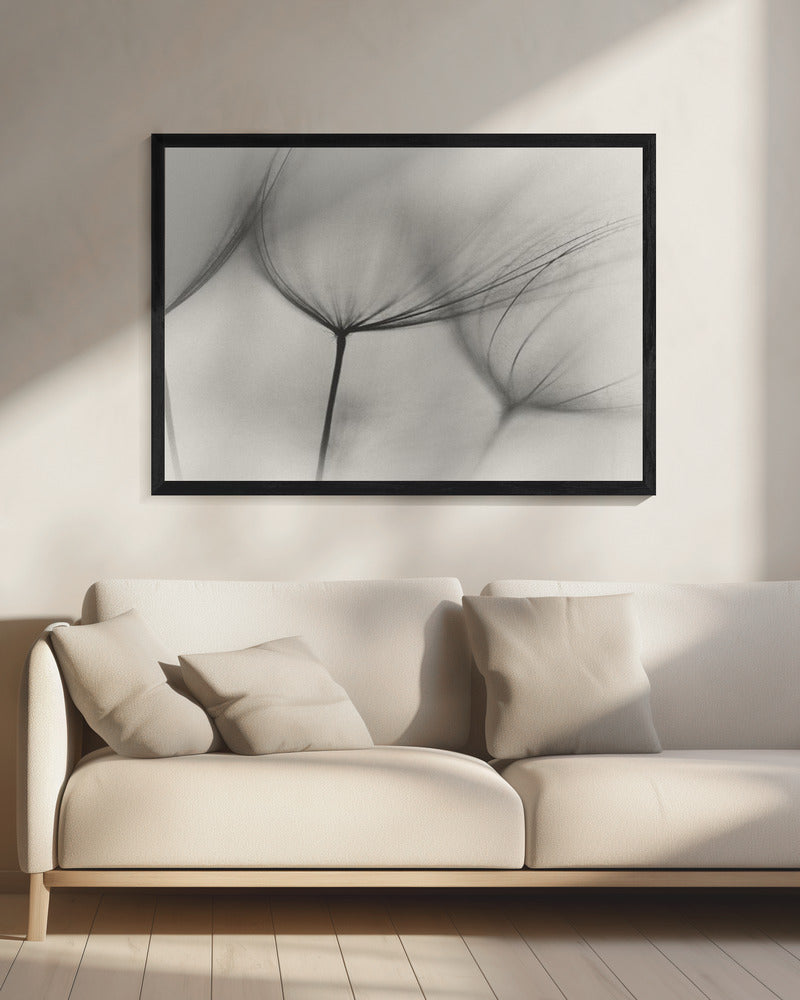 Wall art Tragopogon