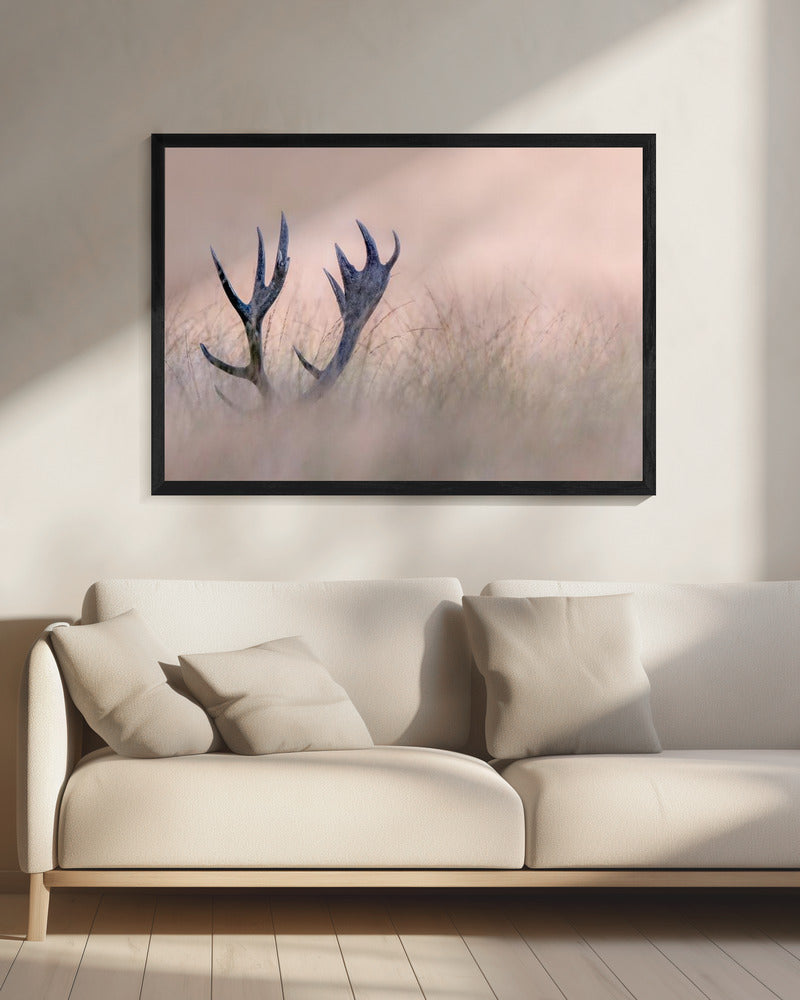 Wall art Hide & Seek ( Horn of Stag)