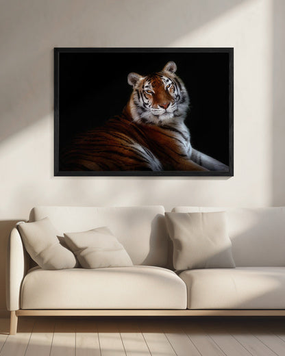 Resting Tiger Portrait on Black Canvas Wall Art | Serenity