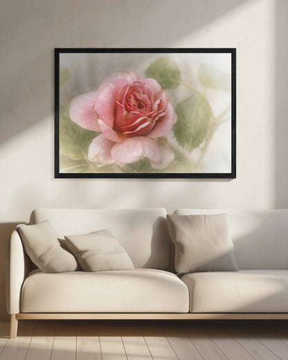Wall Art smooth rose