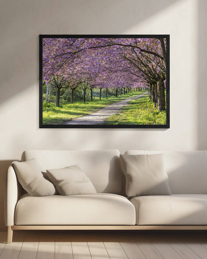 Wall art Idyllic cherry blossom alley