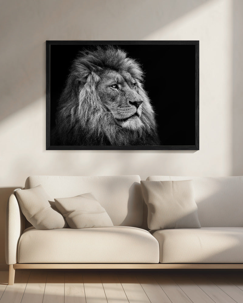 Black and White Lion in Side Profile Canvas Wall Art