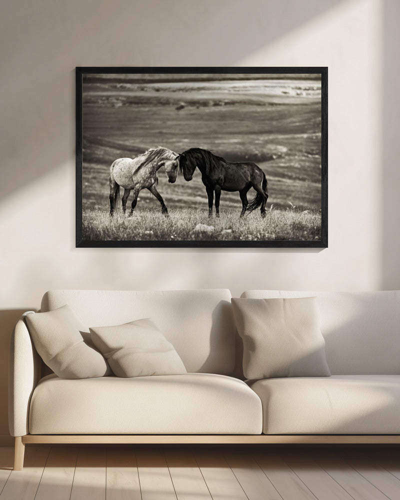 Wall art close encounter