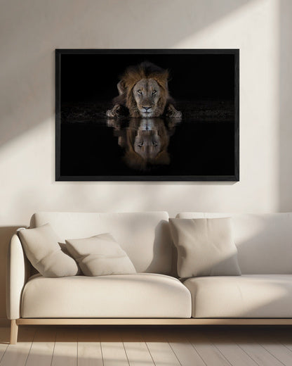 Lion Drinking with a Dark Water Reflection Canvas Wall Art | A Lion at The Night