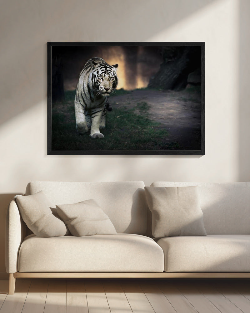 White Tiger Walking through a Dark Landscape Canvas Wall Art | White walker