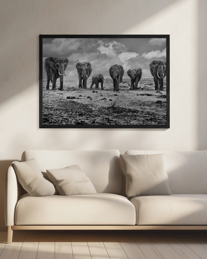 Wall art Big Family. Elephants