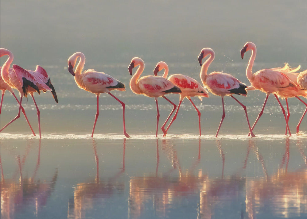 Art mural Paysage flamant rose