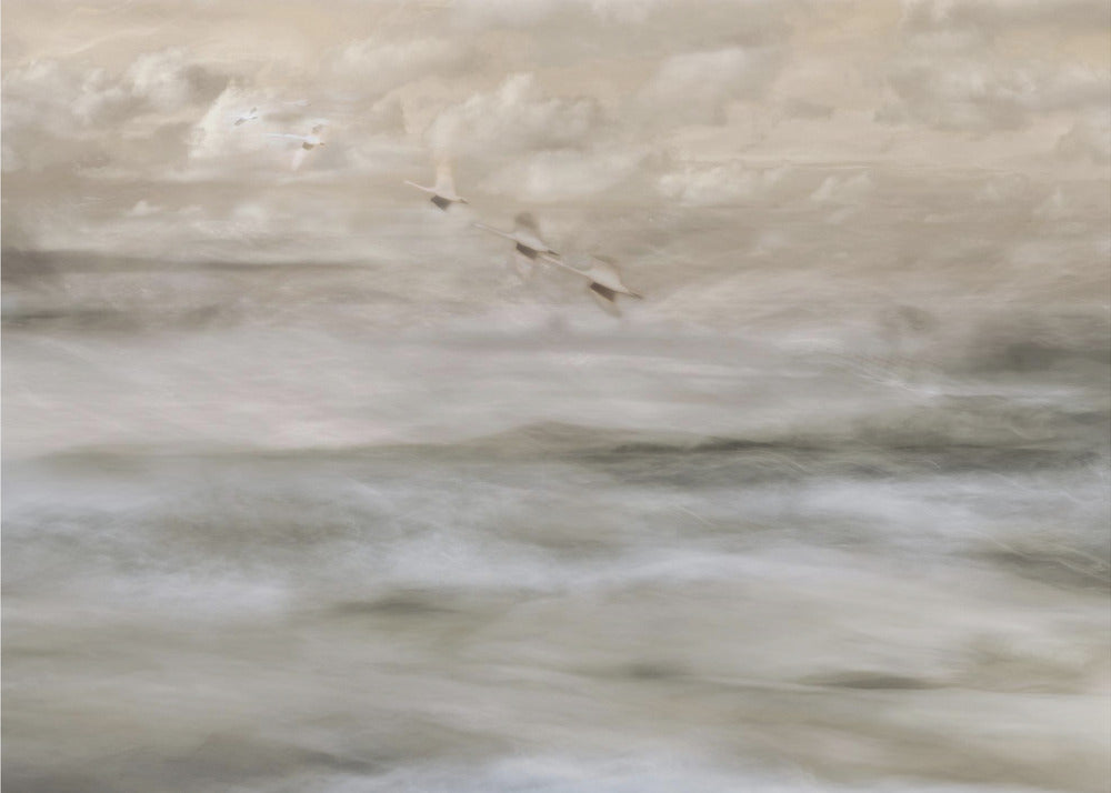 Wall art Swans over sea