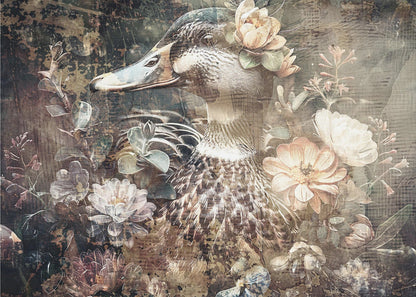 Art mural Canard Animal Illustration vintage Wallart 06