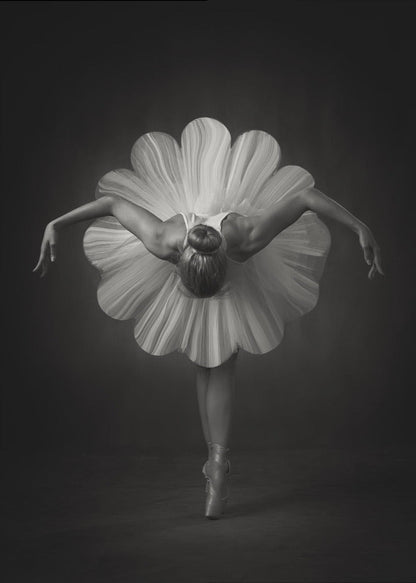 Wall Art Floral Ballet